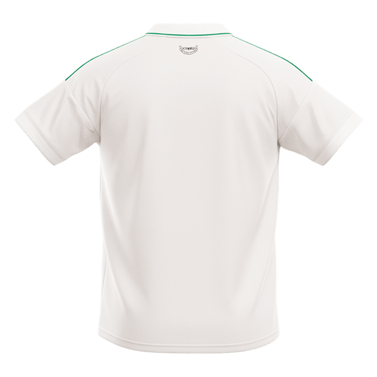 Men's Wales World Cup 2026 Away Soccer Jersey product view 2