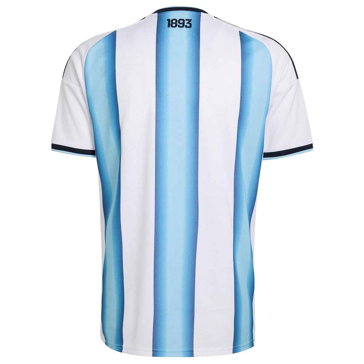 Men's Argentina World Cup 2026 Home Soccer Jersey Premium - Final Match Edition (With Patches) product view 5