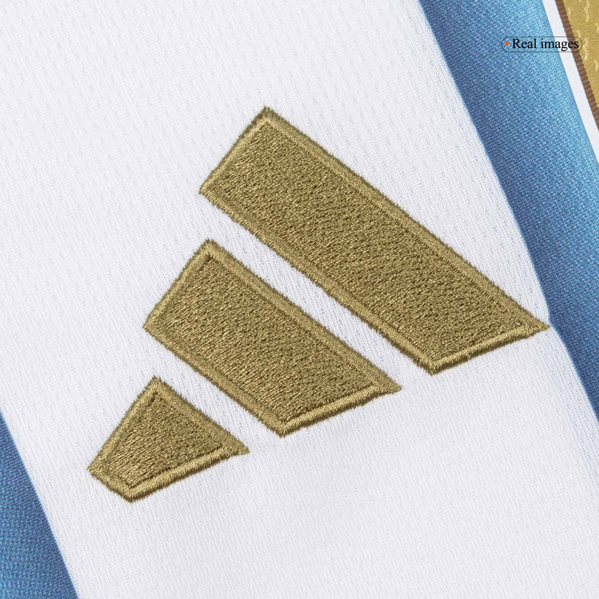Men's Argentina World Cup 2026 Home Long Sleeve Soccer Jersey product view 6