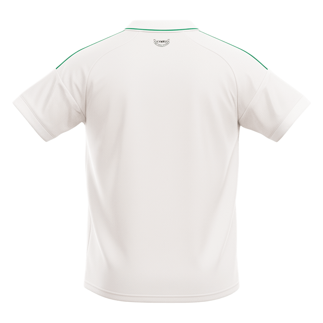 Men's Wales World Cup 2026 Away Soccer Jersey product view 2