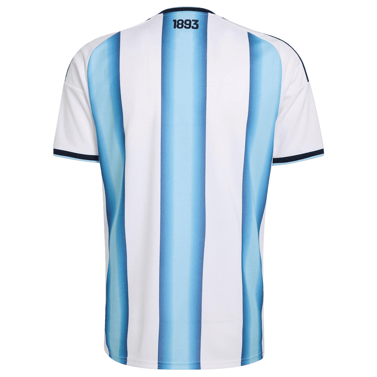 Men's Argentina World Cup 2026 Player Version Home Soccer Jersey - Final Match Edition (With Patches) product view 2